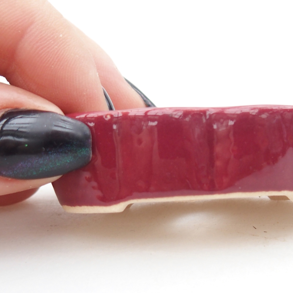 Mini-Bonsaischale 5,5 x 3,5 x 1,5 cm, bordeauxrot