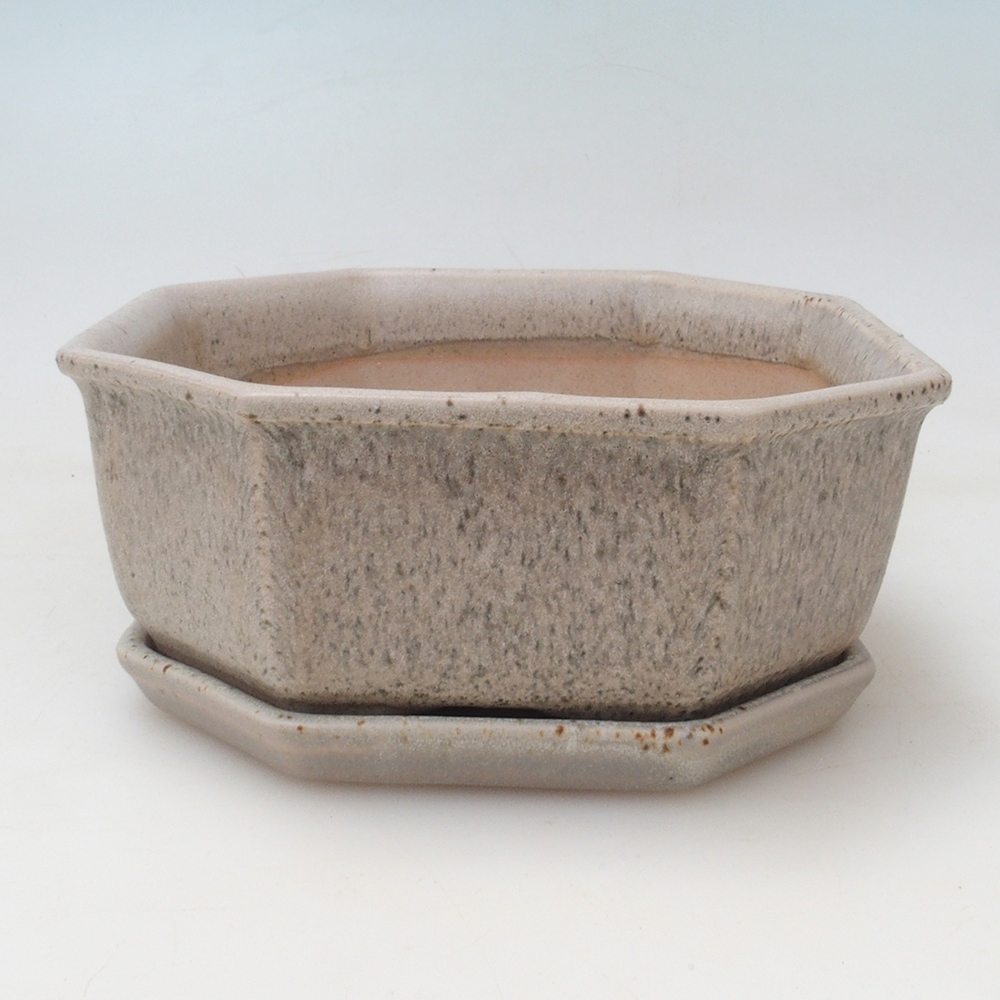 Bonsaischale + Untertasse H13 - 12,5x12,5 x4,5 cm - beige