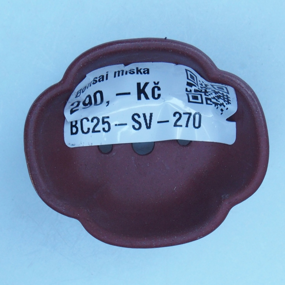Schale 4,5 x 4 x 2 cm braun