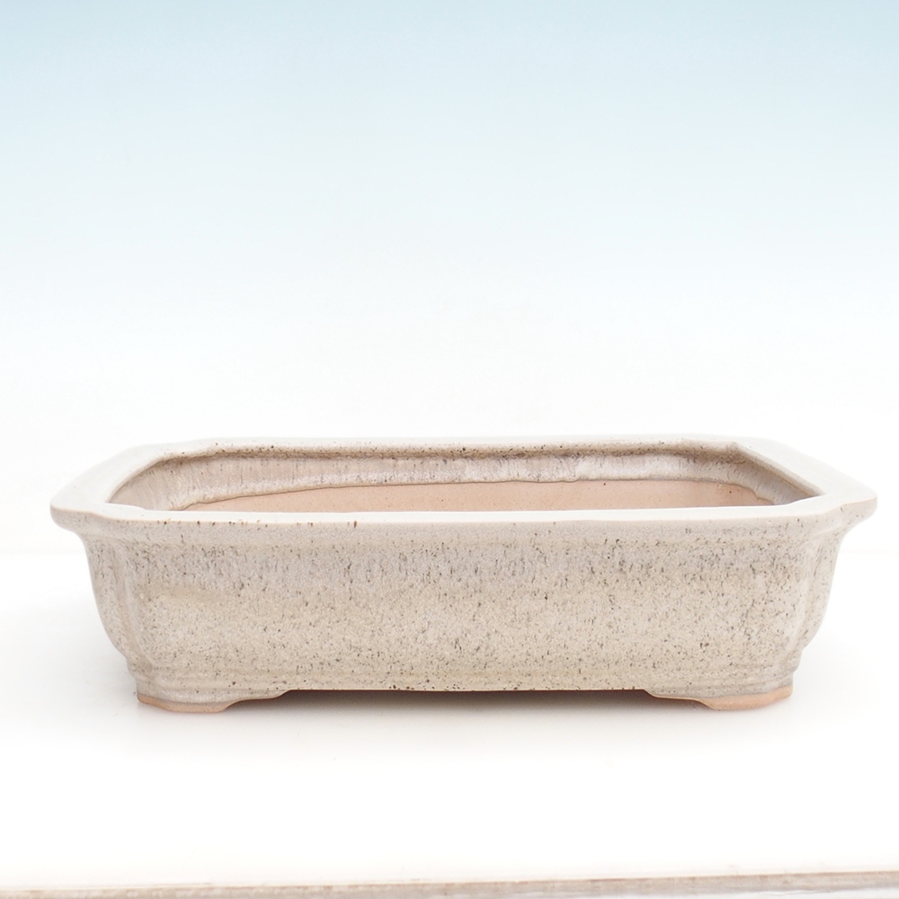 Bonsaischale + Untertasse H07 - 30 x 20,5 x 8 cm.