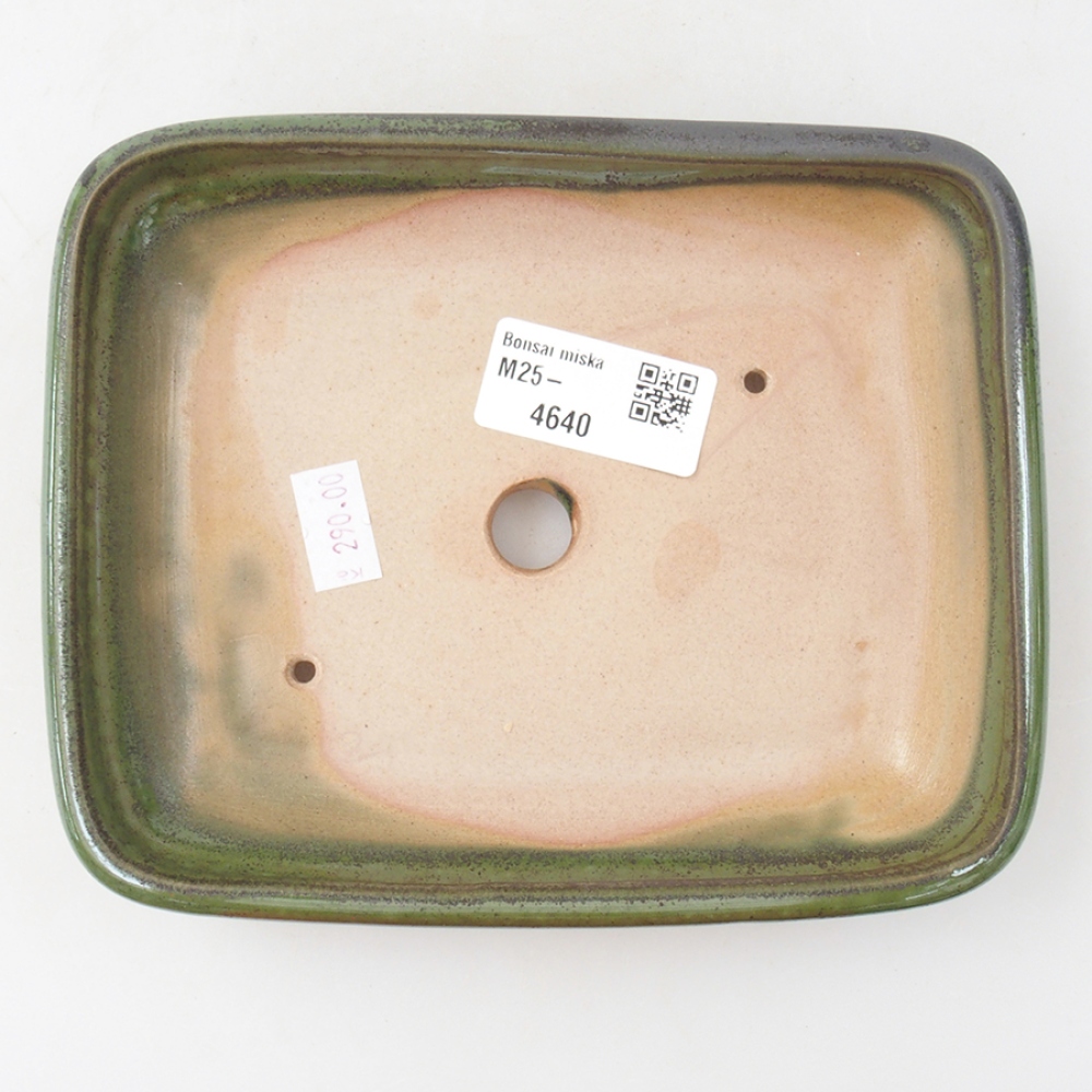 Bonsaischale aus Keramik 17 x 13,5 x 3,5 cm, grün