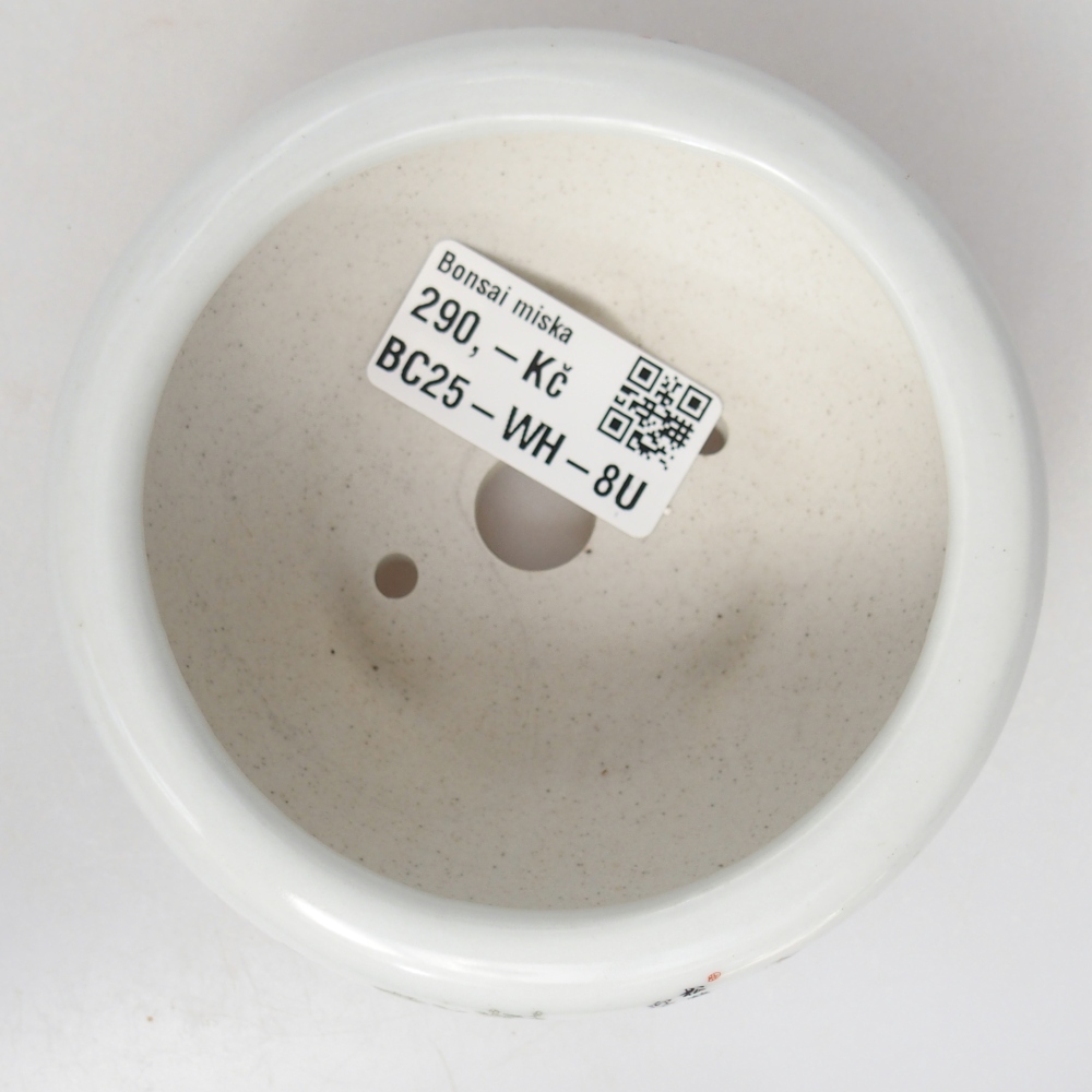 Bonsaischale aus Keramik 10 x 10 x 5 cm, Farbe weiß