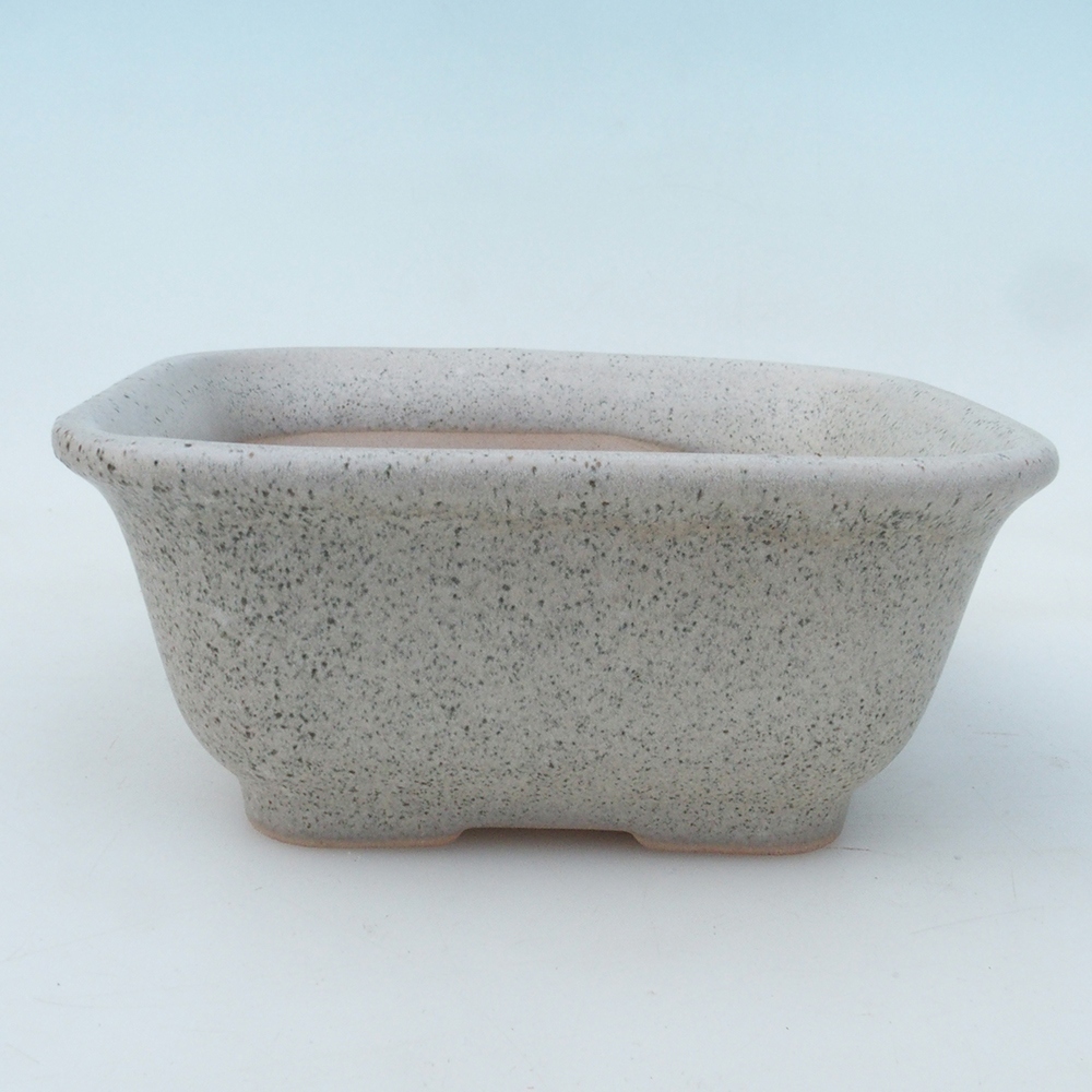 Bonsaischale + Untertasse H38 - 12x10x5,5 cm - beige