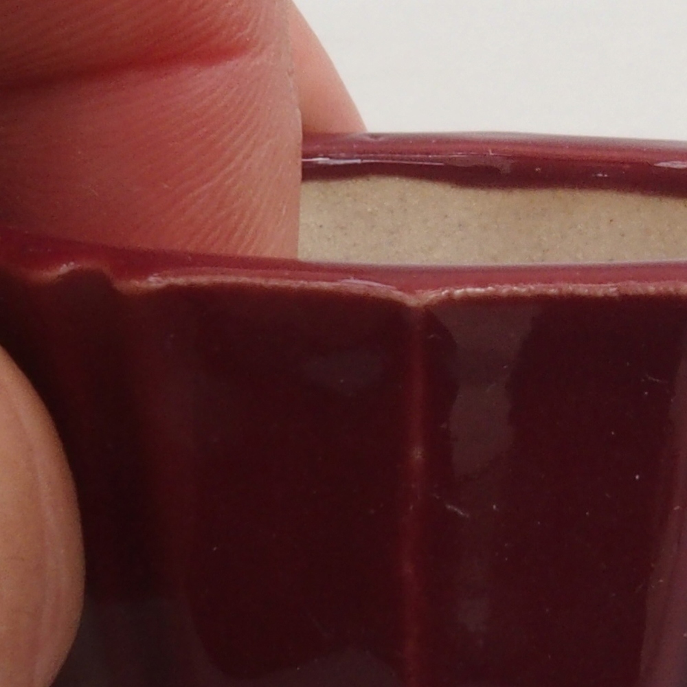 Mini-Bonsaischale 5 x 5 x 3 cm, bordeauxrot