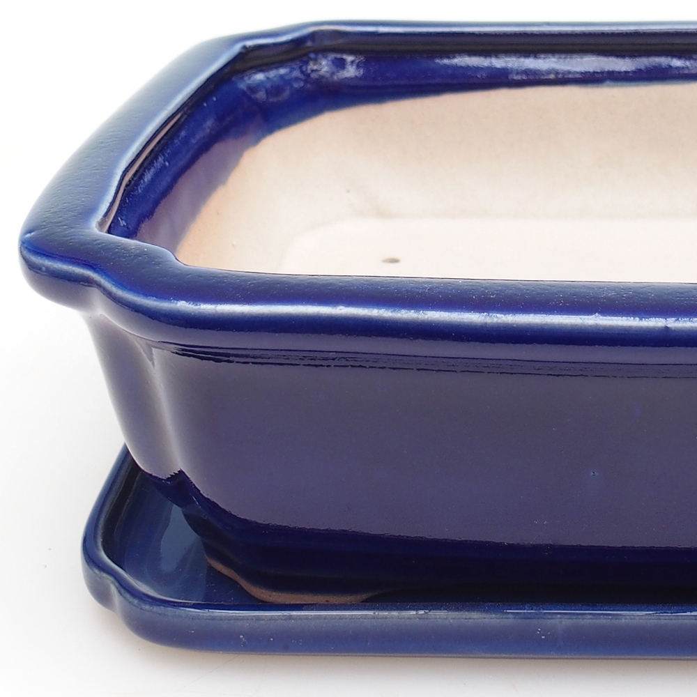 Bonsaischale + Untertasse H07 - 30 x 20,5 x 8 cm.