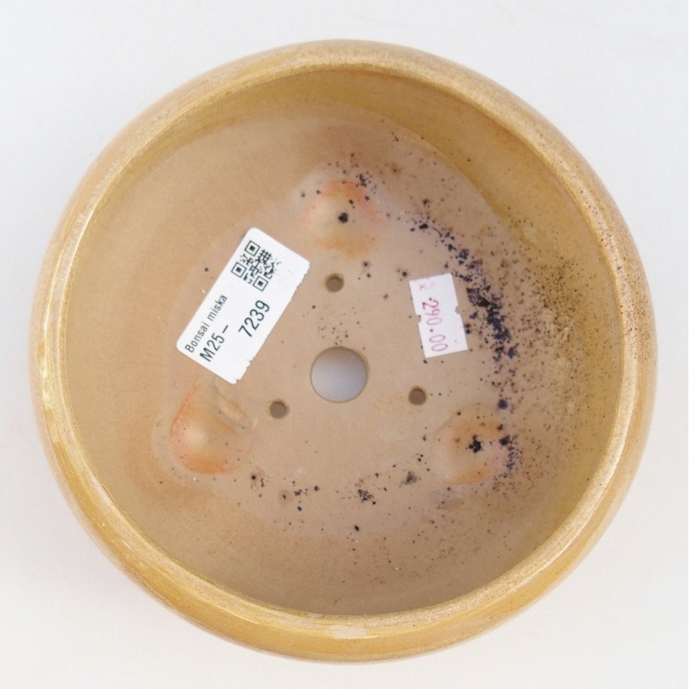 Bonsaischale aus Keramik 14,5 x 14,5 x 7 cm, Farbe beige