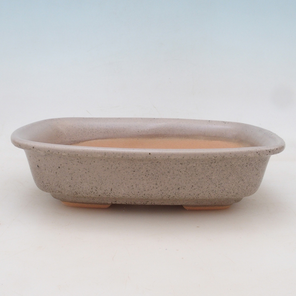 Bonsaischale + Untertasse H02 - beige