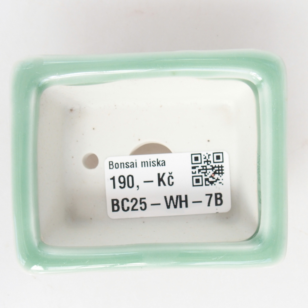 Mini-Bonsaischale 8 x 6 x 3 cm, grün
