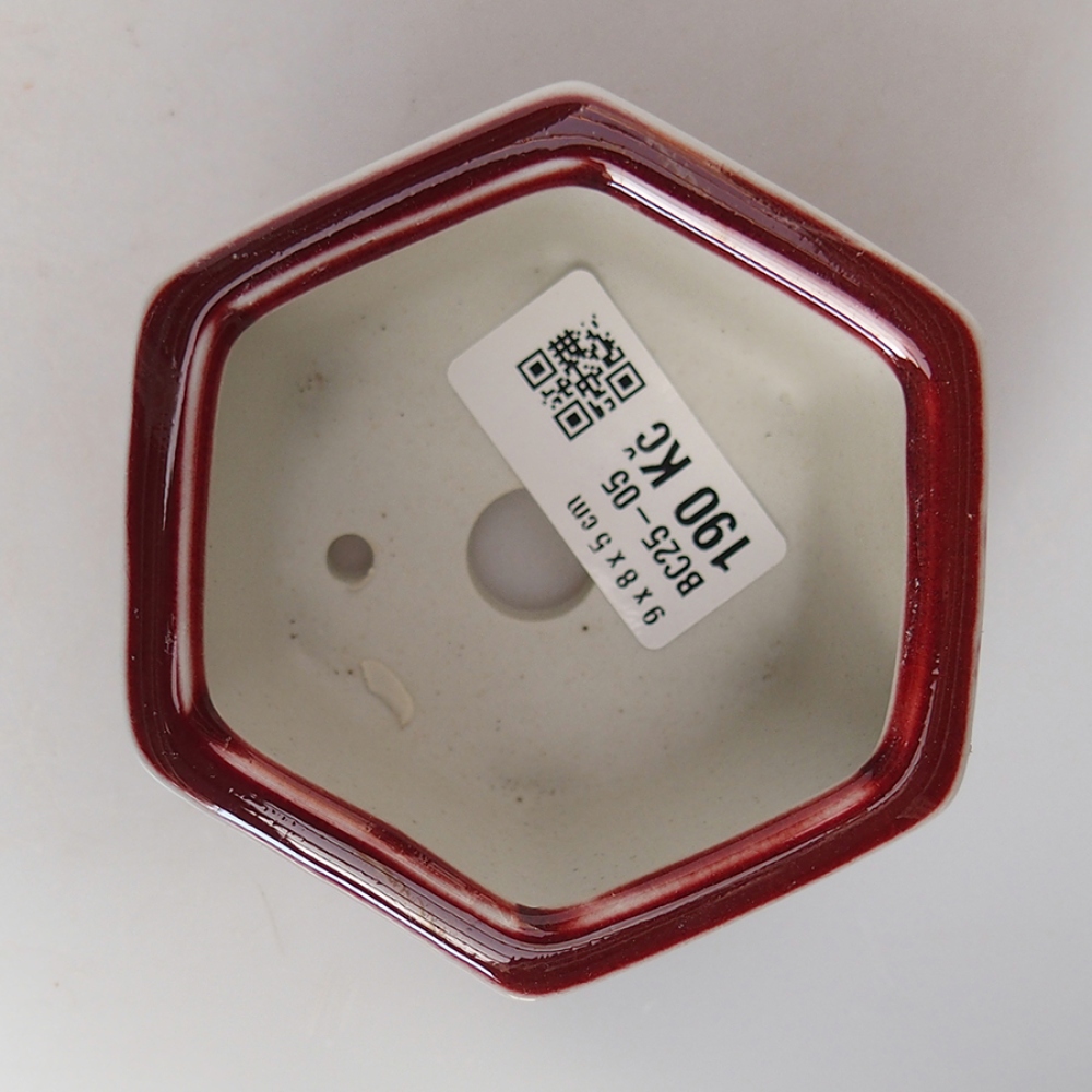 Bonsaischale aus Keramik 9 x 8 x 5 cm, Farbe rot