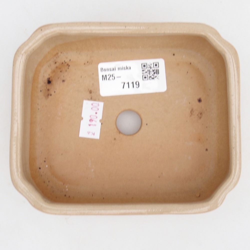 Bonsaischale aus Keramik 12 x 10 x 4 cm, Farbe beige