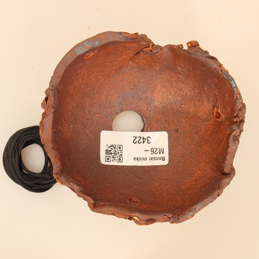 Keramikschale für Kokedama, 10,5 × 9 × 6,5 cm, Farbe: braun
