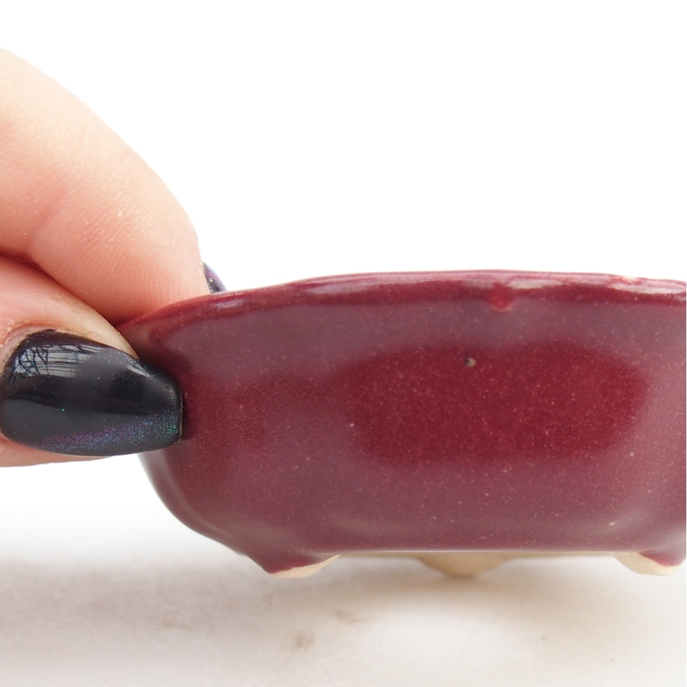 Mini-Bonsaischale 7,5 x 7,5 x 2,5 cm, bordeauxrot