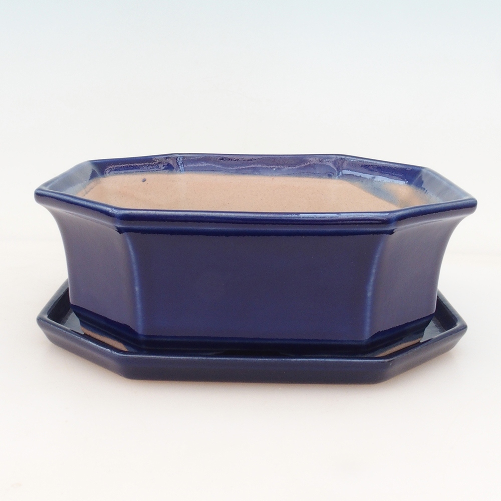 Bonsaischale + Untertasse H14 - blau