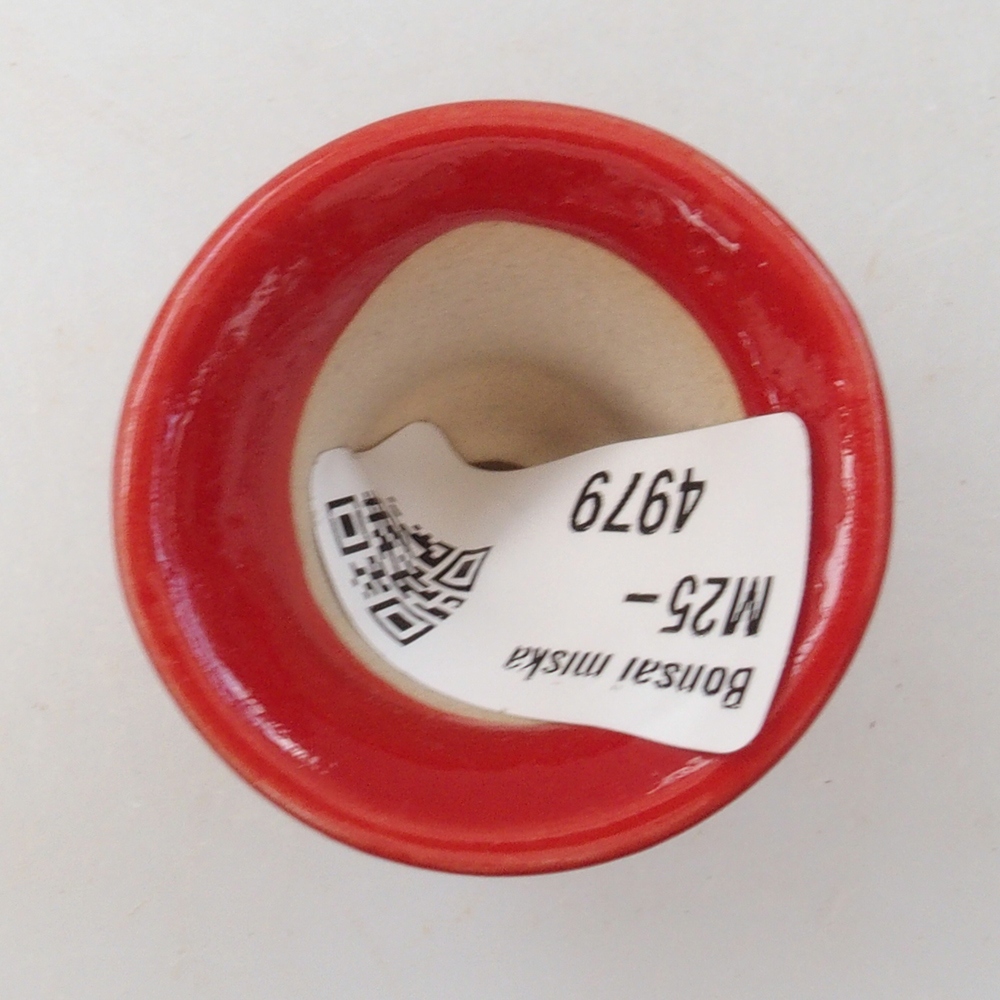 Mini-Bonsaischale 4 x 4 x 4 cm, Farbe rot
