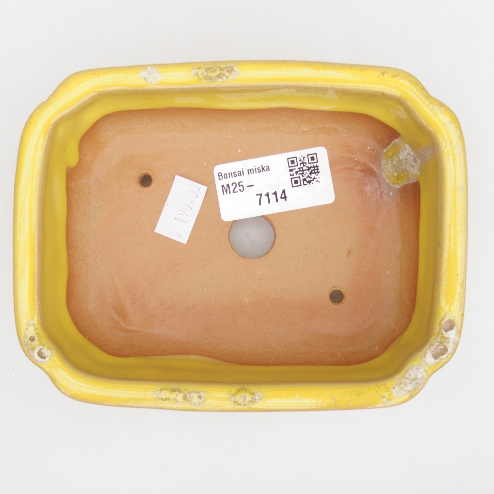 Bonsaischale aus Keramik 14 x 11 x 4 cm, gelb