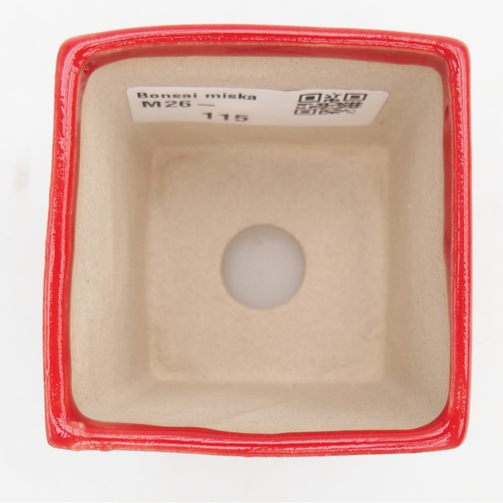 Mini-Bonsaischale 5,5 x 5,5 x 6,5 cm, Farbe rot