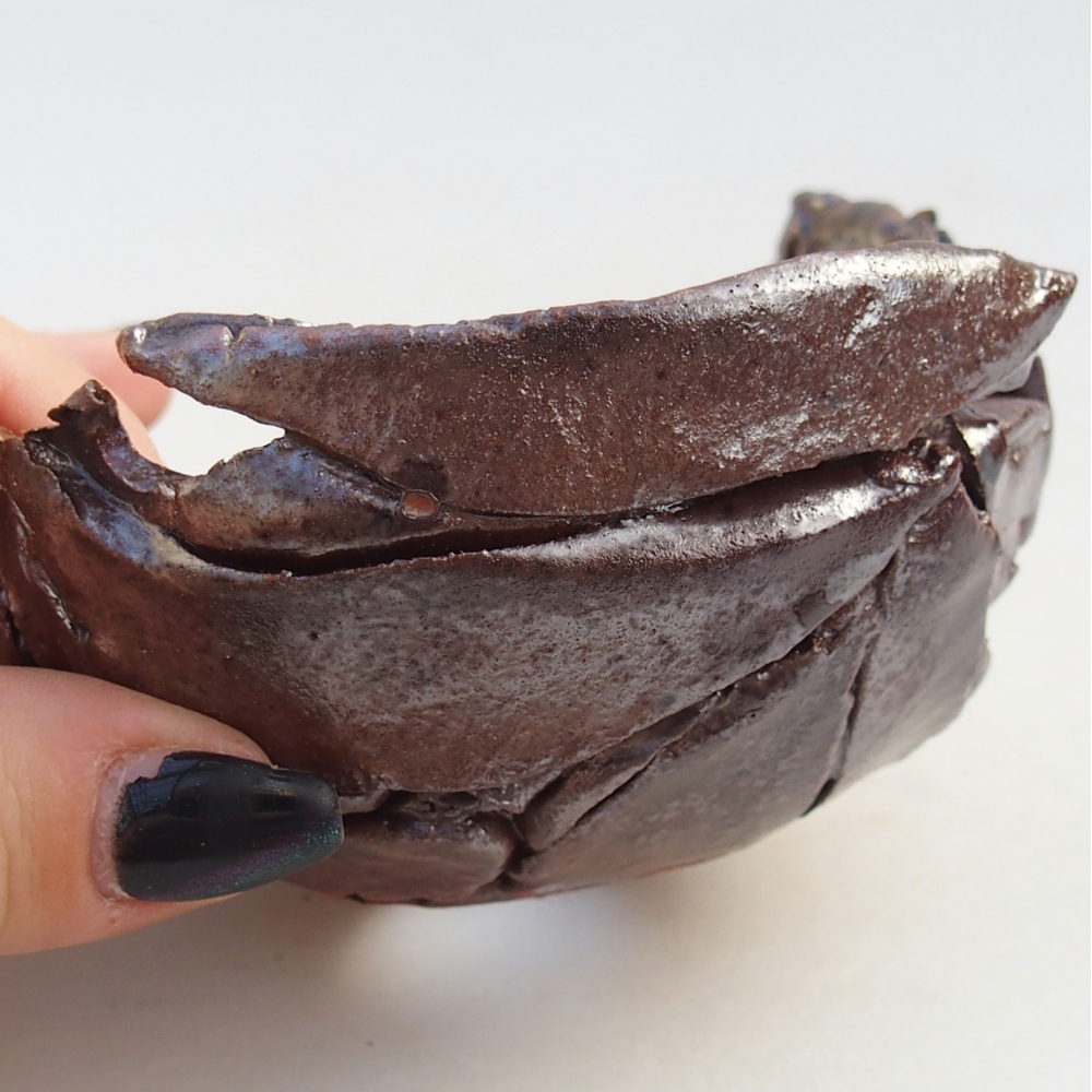 Keramische Muschel 10 x 10 x 6 cm , Farbe braun