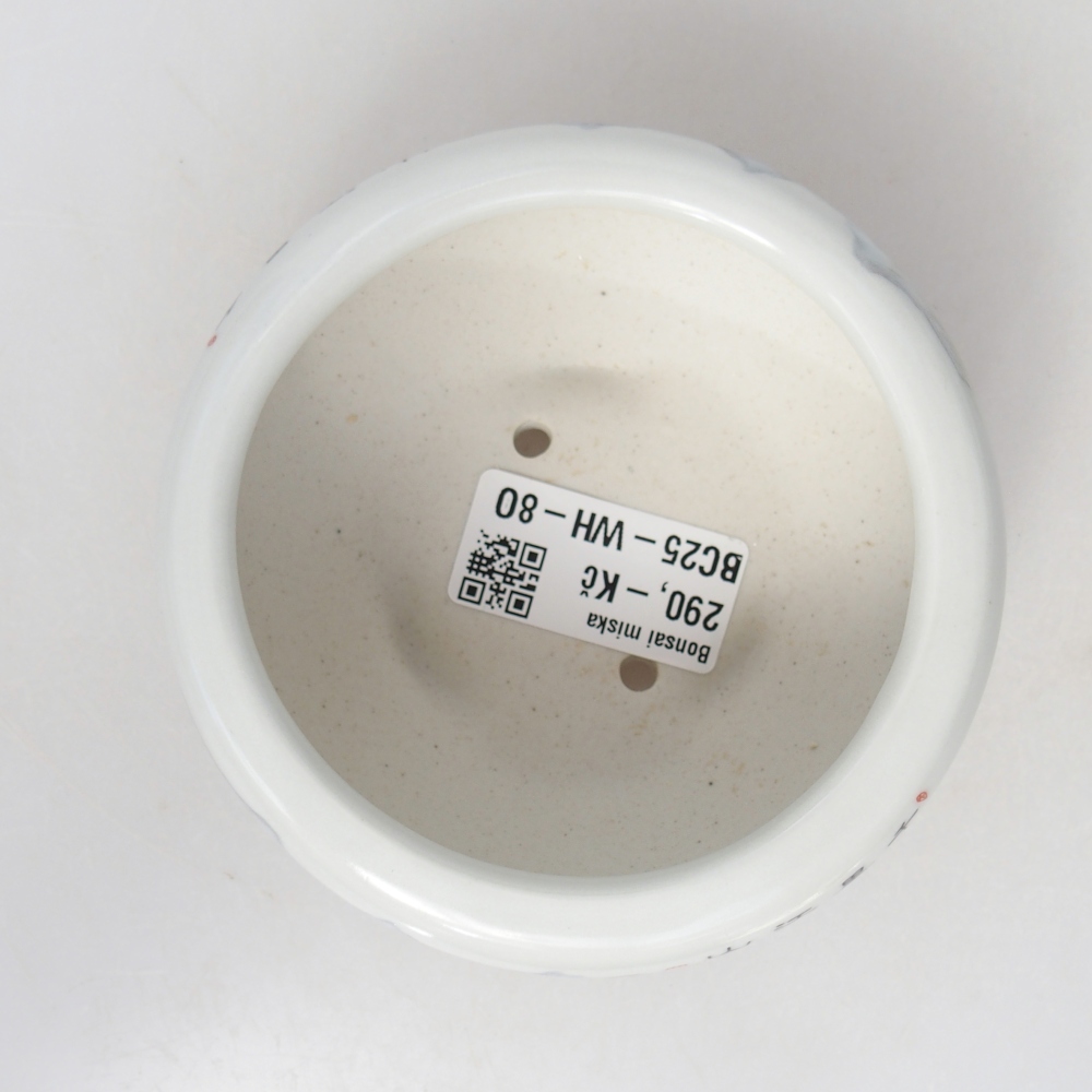 Bonsaischale aus Keramik 10 x 10 x 5 cm, Farbe weiß