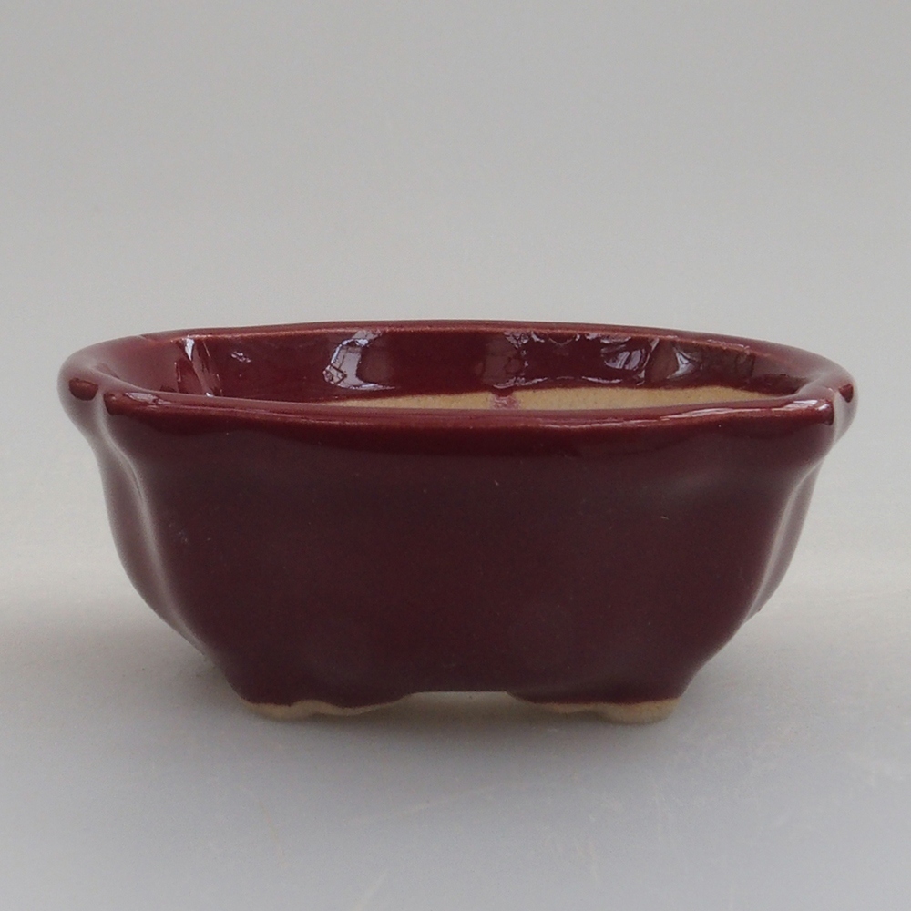 Mini-Bonsaischale 6 x 6 x 2,5 cm, bordeauxrot