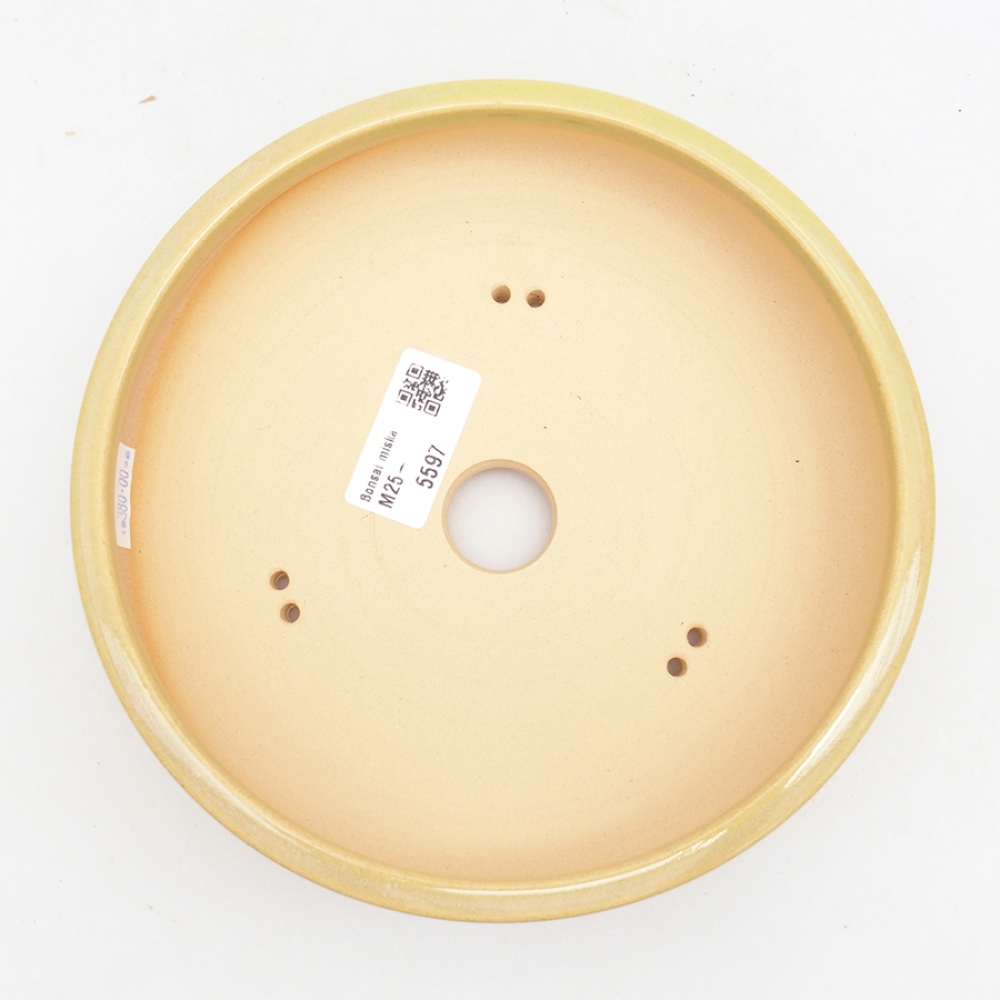 Bonsaischale aus Keramik 18 x 18 x 5 cm, grün