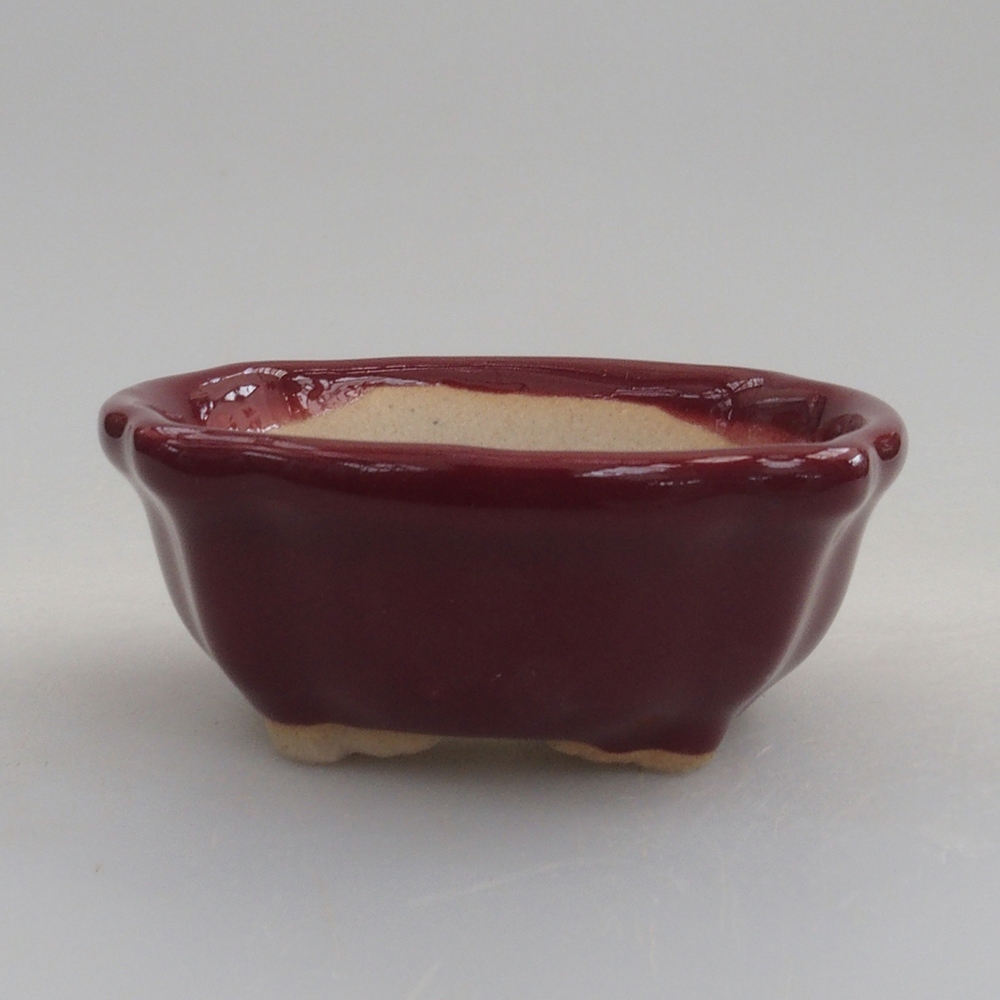 Mini-Bonsaischale 6 x 6 x 2,5 cm, bordeauxrot