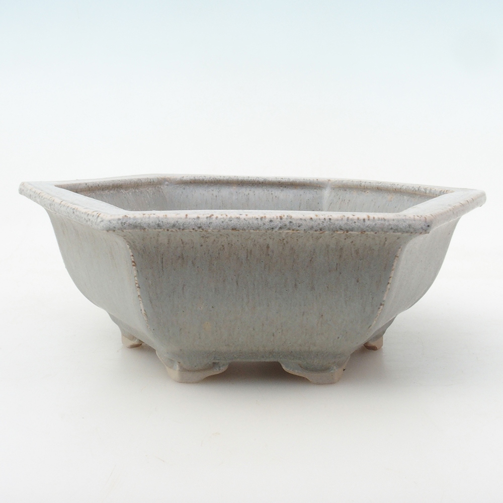 Bonsaischale H53 - 19 x 21,5 x 7 cm - beige