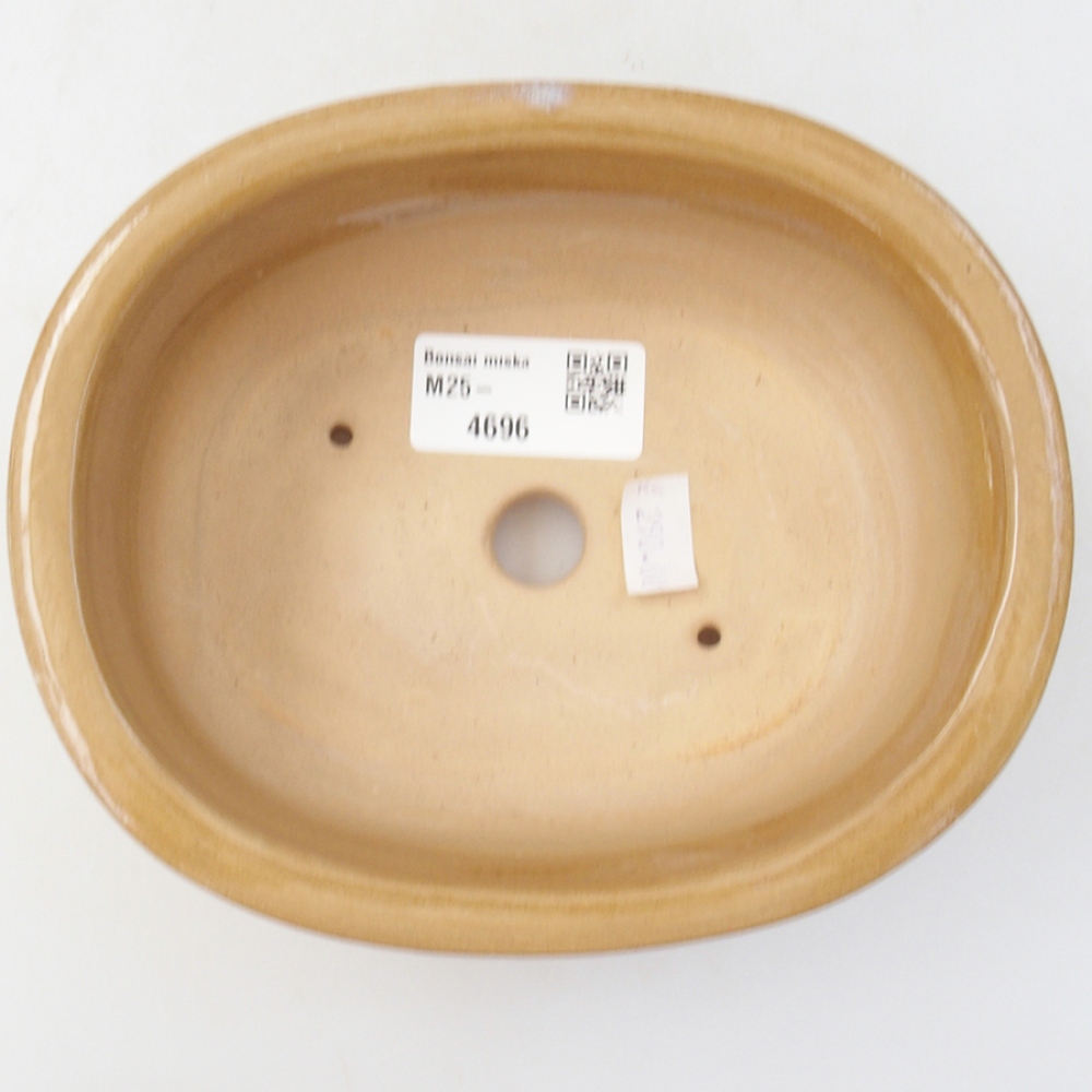 Bonsaischale aus Keramik 15,5 x 12 x 5,5 cm, Farbe beige