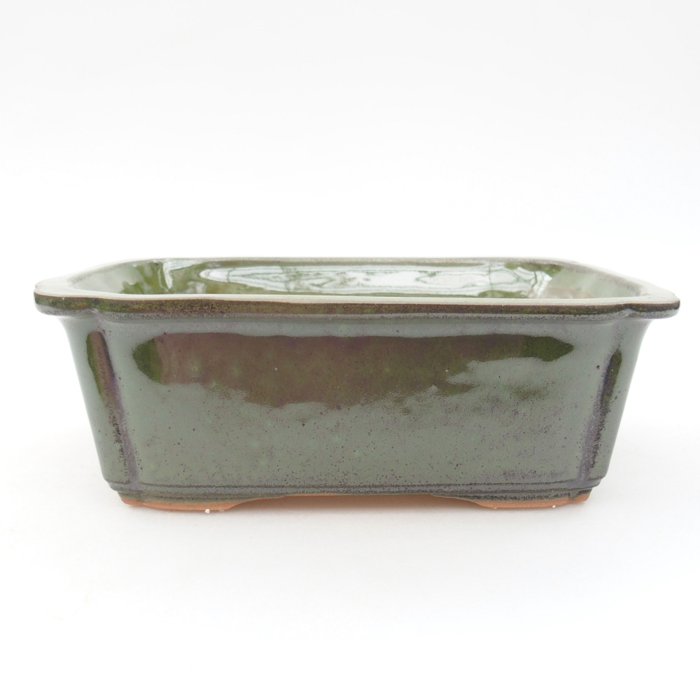 Bonsaischale aus Keramik 17,5 x 12,5 x 6 cm, grün