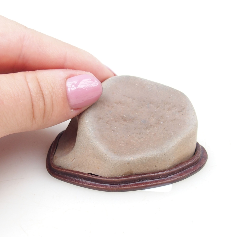 Suiseki - Stein mit DAI (Holzsockel)