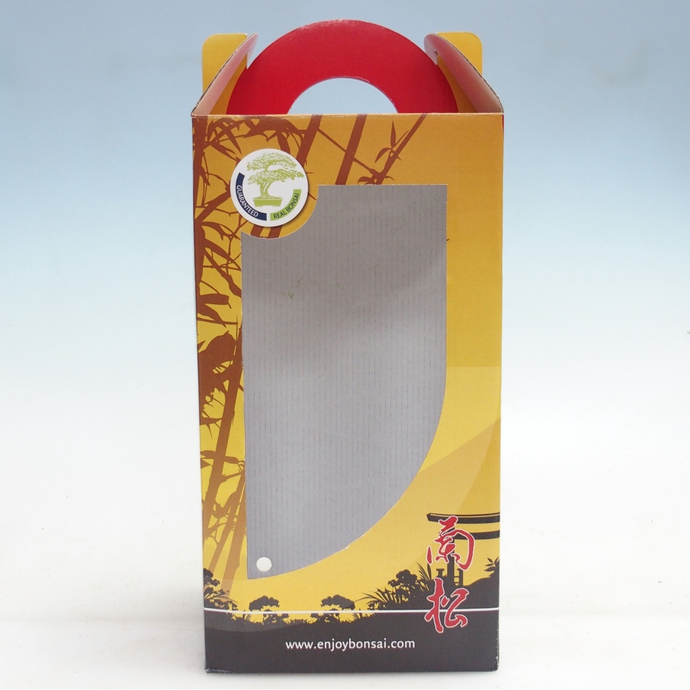 Geschenk-Bonsai-Box - Papier