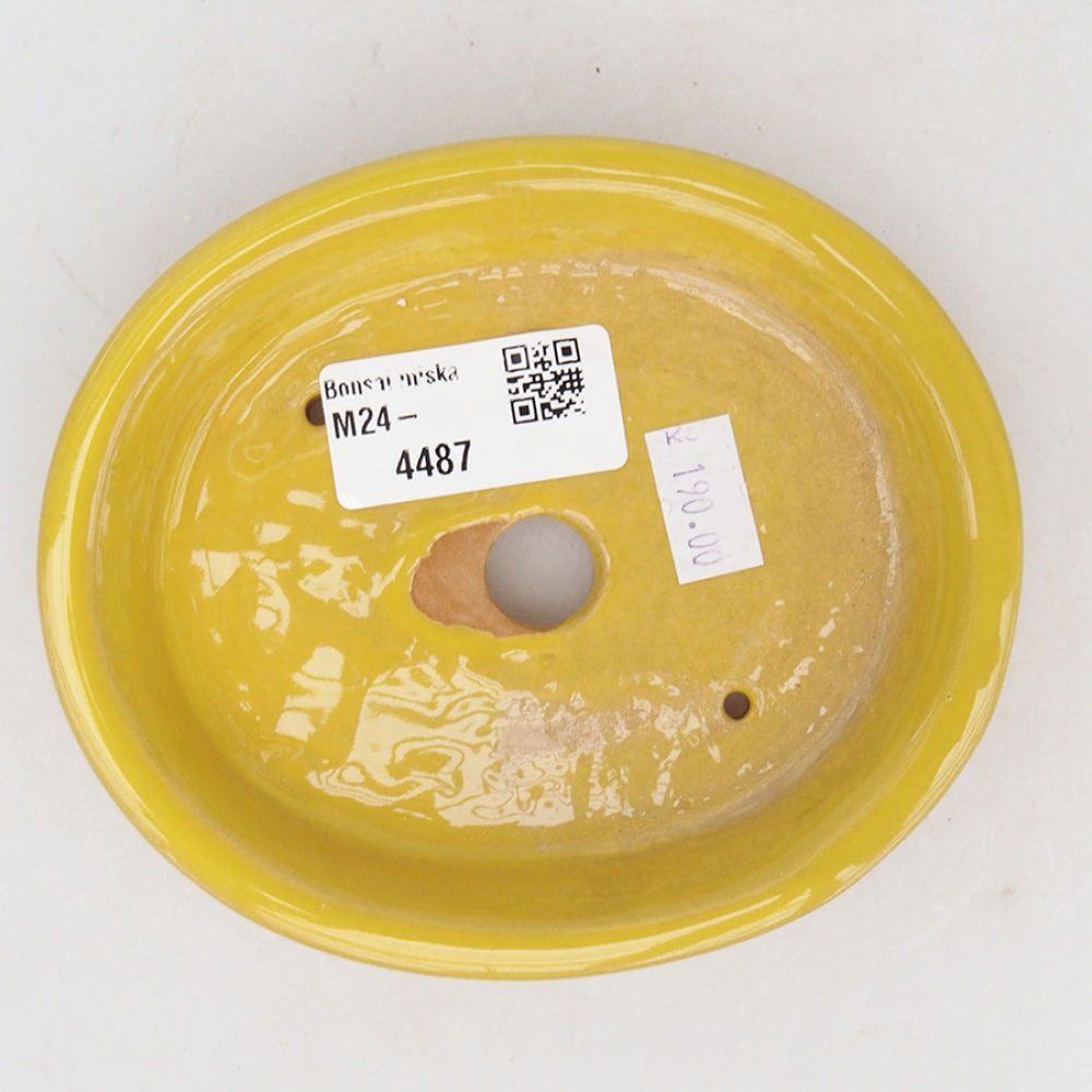 Bonsaischale aus Keramik 13 x 11 x 2,5 cm, gelb