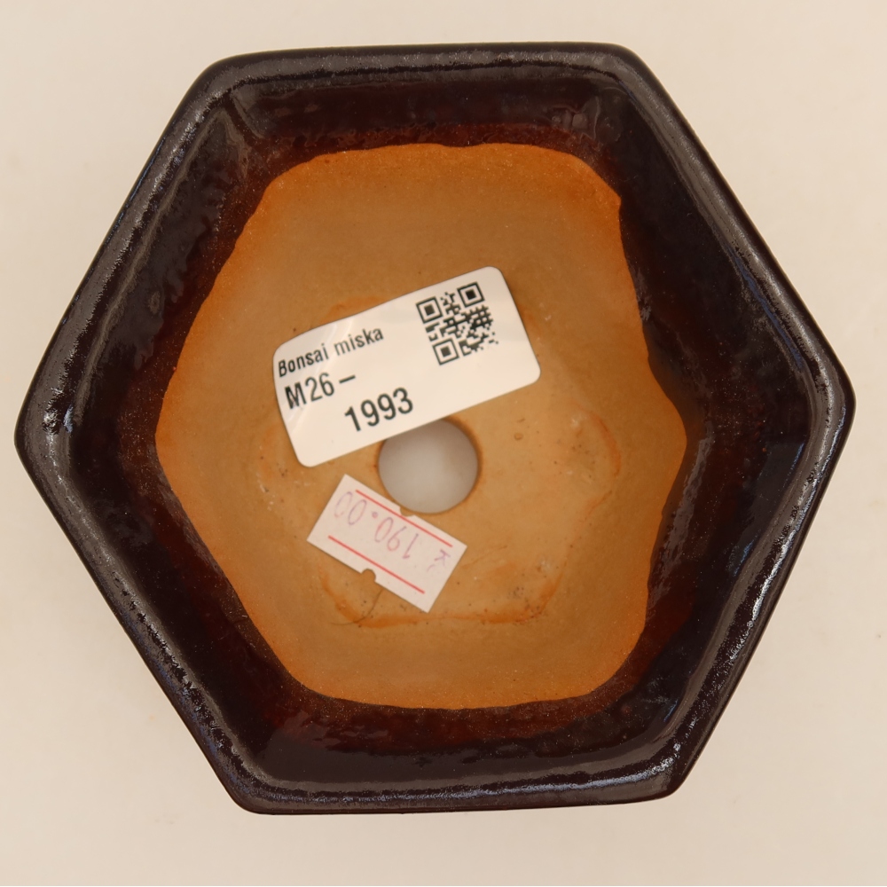 Keramik-Bonsai-Schale, 10,5 × 9,5 × 5,5 cm, Farbe: Schwarz