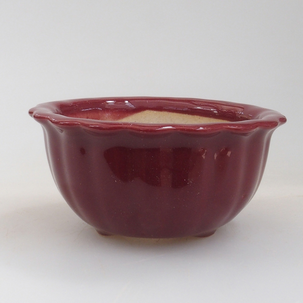 Mini-Bonsaischale 6,5 x 6,5 x 3,5 cm, bordeauxrot