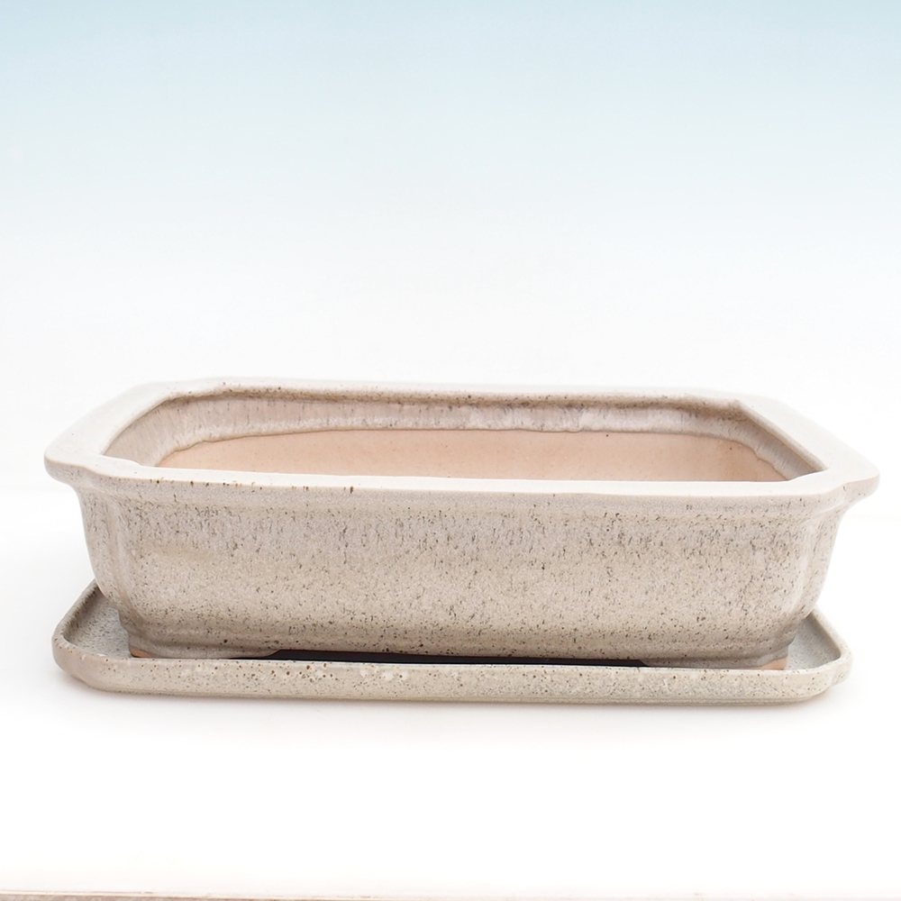 Bonsaischale + Untertasse H07 - 30 x 20,5 x 8 cm.