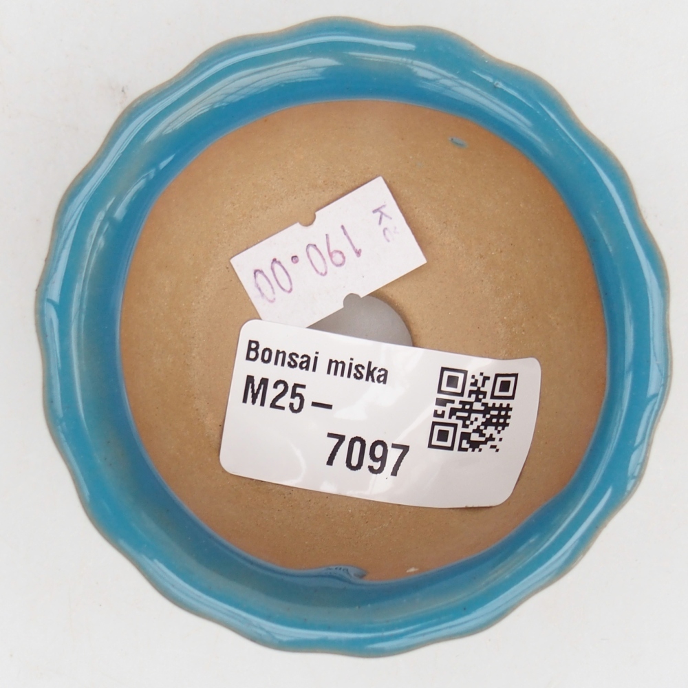 Bonsaischale aus Keramik 7 x 8,5 x 3,5 cm, Farbe blau
