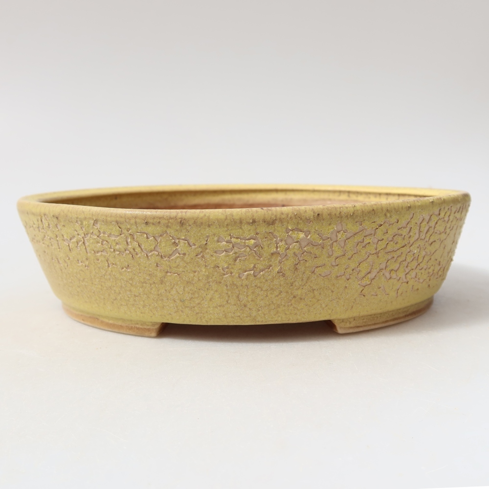 Keramik-Bonsai-Schale, 18,5 × 16,5 × 4,5 cm, Farbe: Gelb
