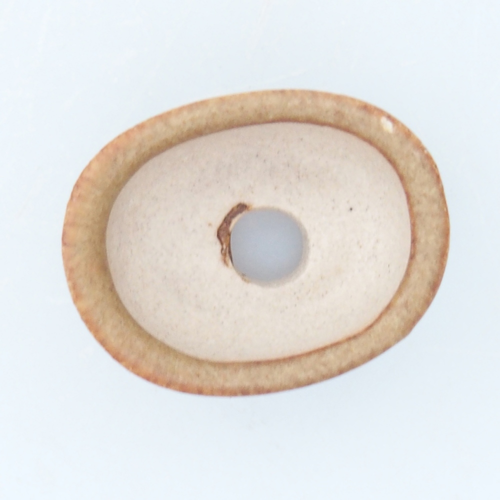 Mini-Bonsaischale 2,5 x 2 x 1,5 cm, braun