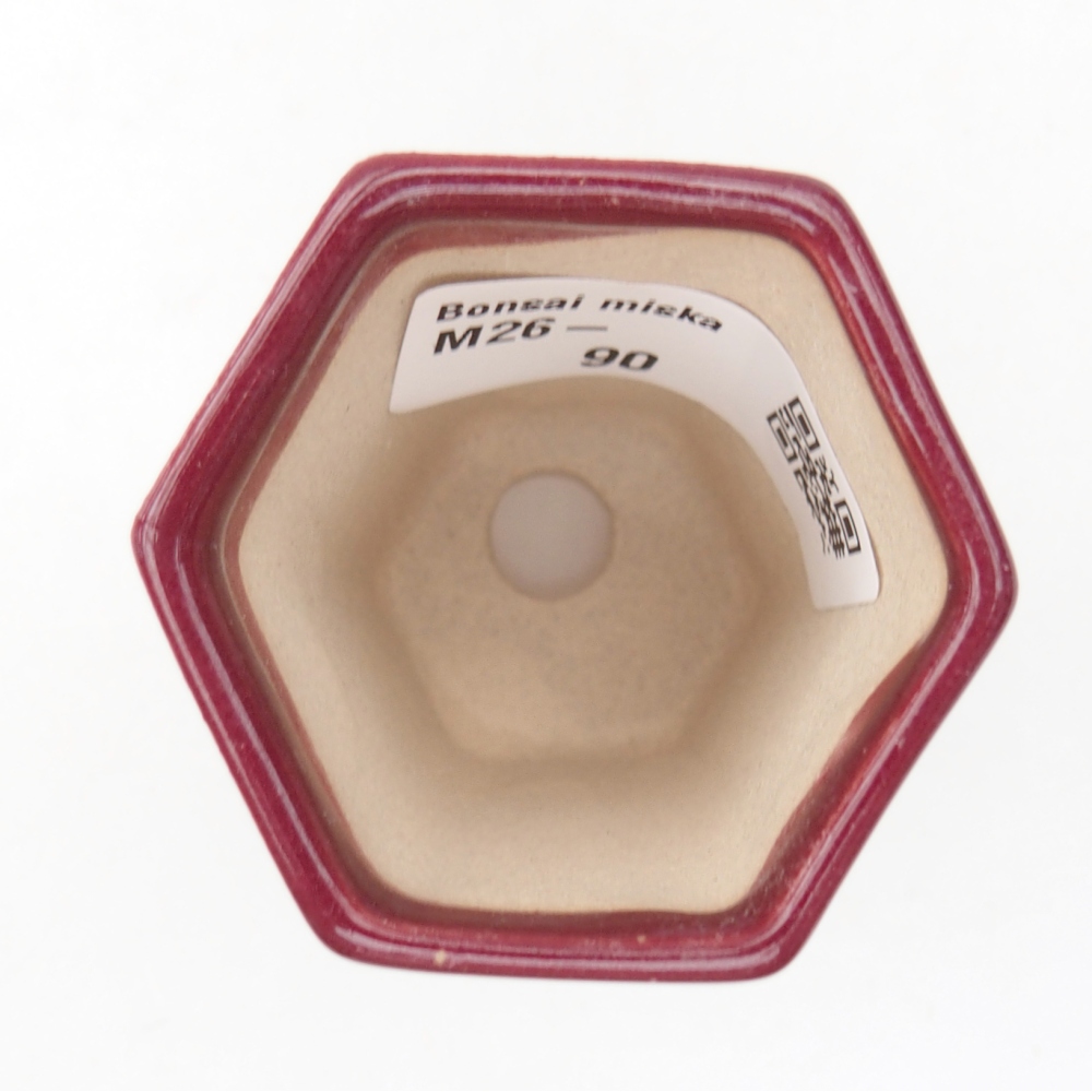Mini-Bonsaischale 5 x 4,5 x 6,5 cm, bordeauxrot