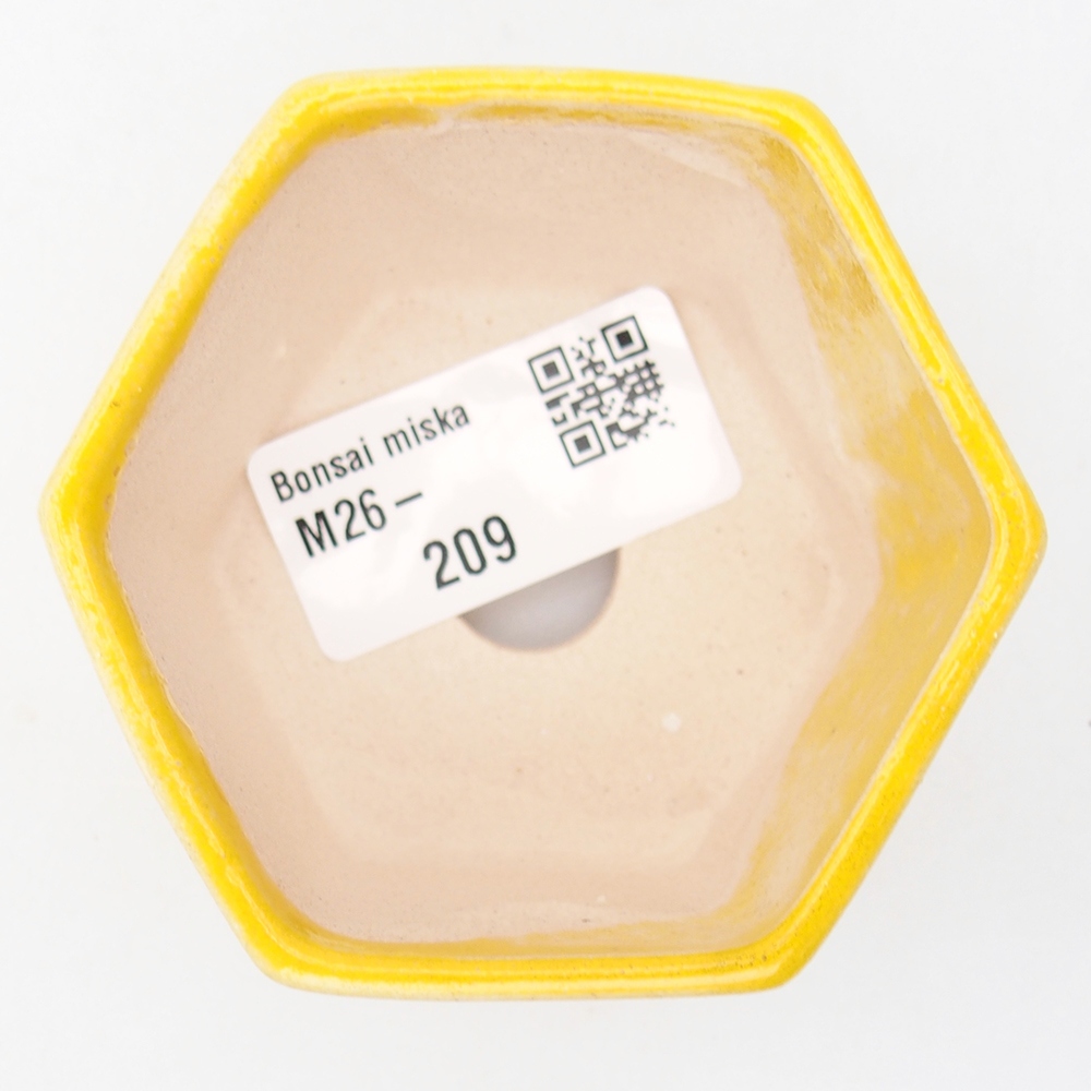 Mini-Bonsaischale 7 x 6,5 x 4,5 cm, gelb