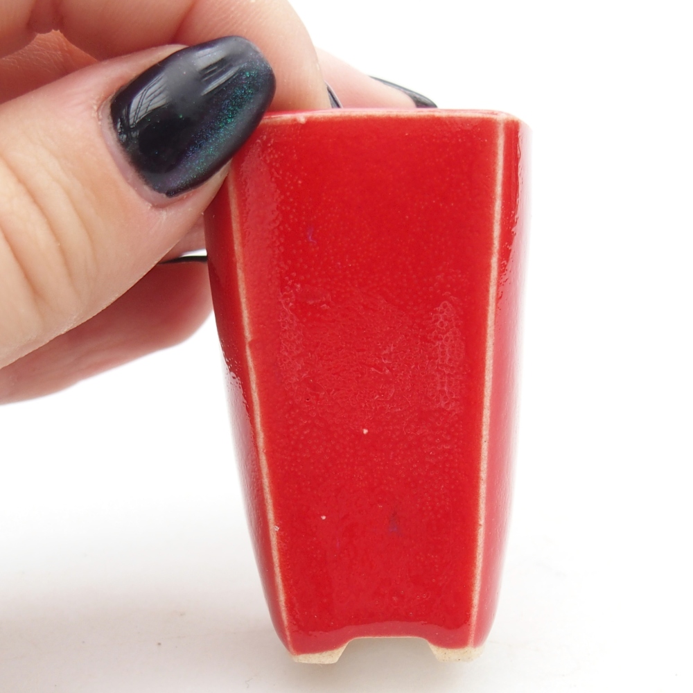 Mini-Bonsaischale 3,5 x 3 x 5,5 cm, Farbe rot