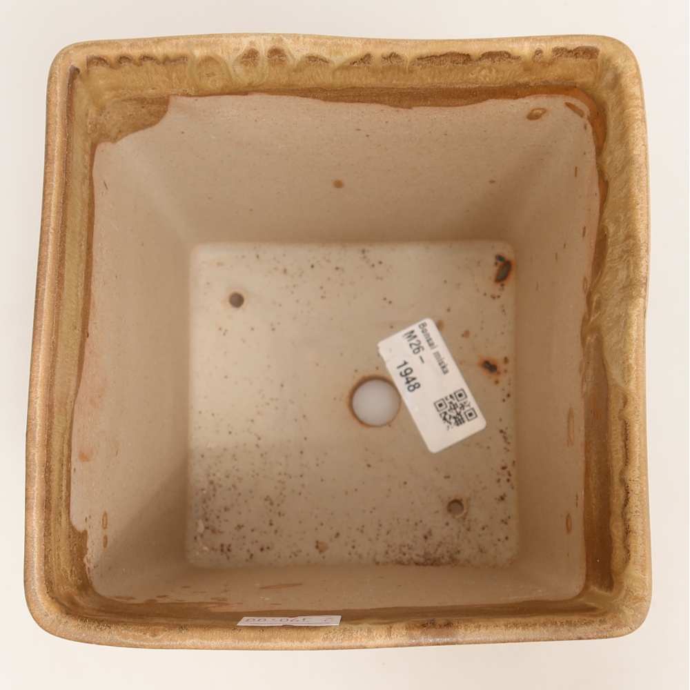 Bonsaischale aus Keramik 13 x 13 x 13,5 cm, Farbe beige