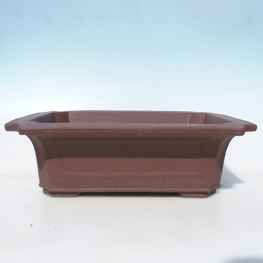 Bonsaischale 40,5 x 31,5 x 13 cm Birke braun