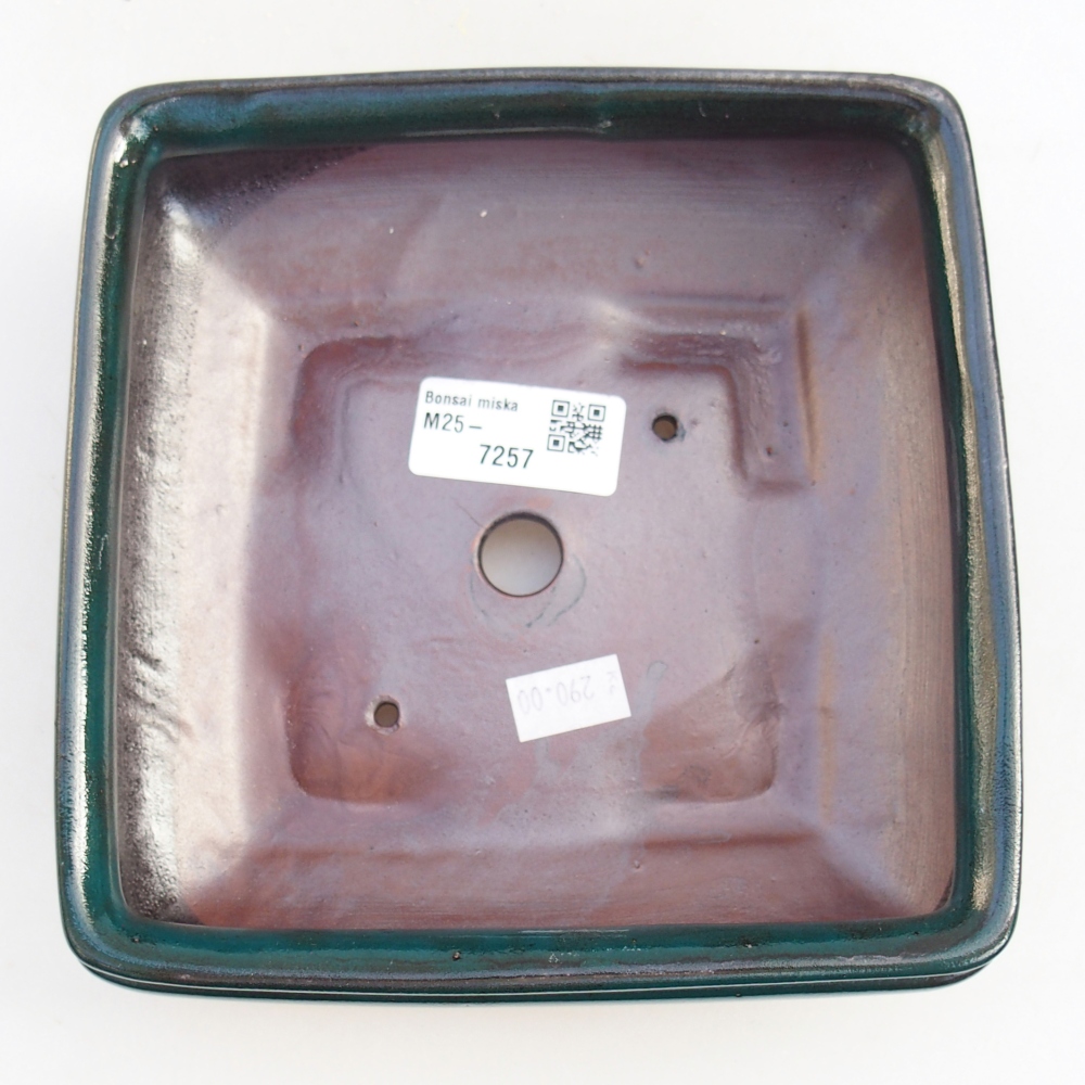 Bonsaischale aus Keramik 15,5 x 15,5 x 6 cm, grün