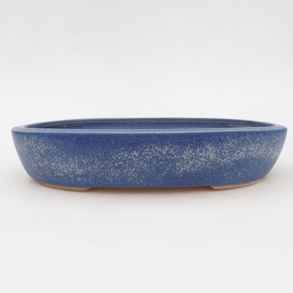 Bonsaischale aus Keramik 22 x 17 x 4 cm, Farbe blau