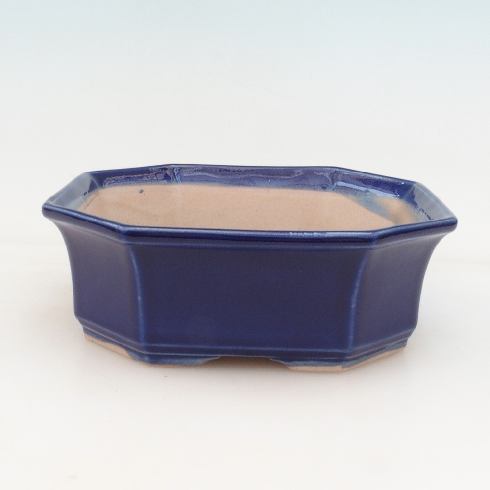 Bonsaischale H14 - 17,5 x 17,5 x 6 - blau