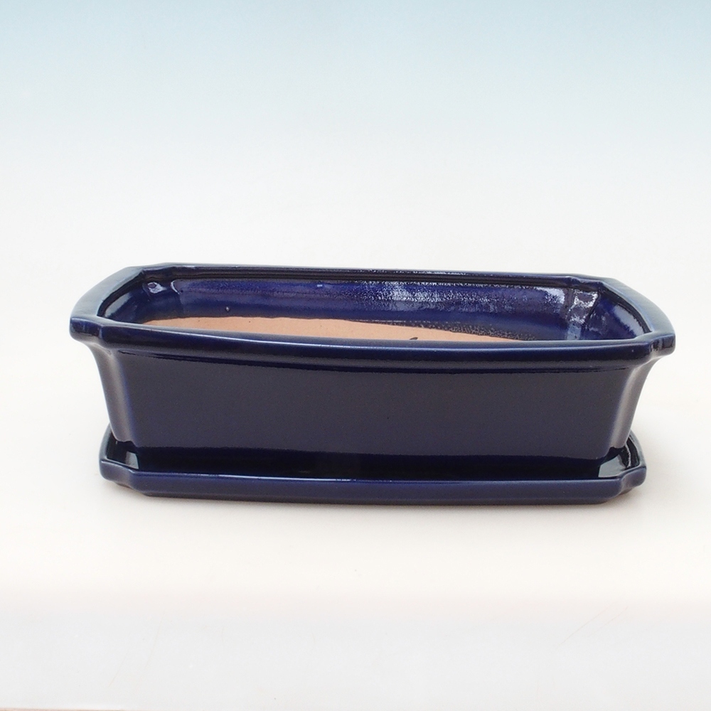 Bonsaischale + Untertasse H07 - 30 x 20,5 x 8 cm - blau