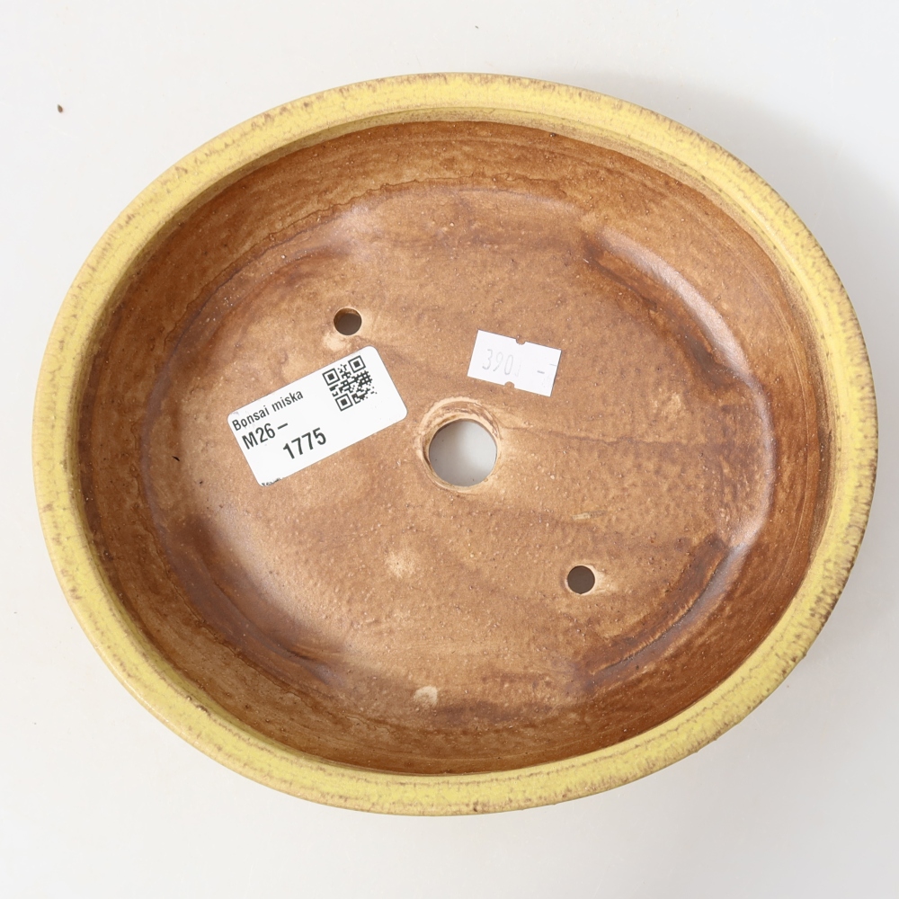 Keramik-Bonsai-Schale, 18,5 × 16,5 × 4,5 cm, Farbe: Gelb