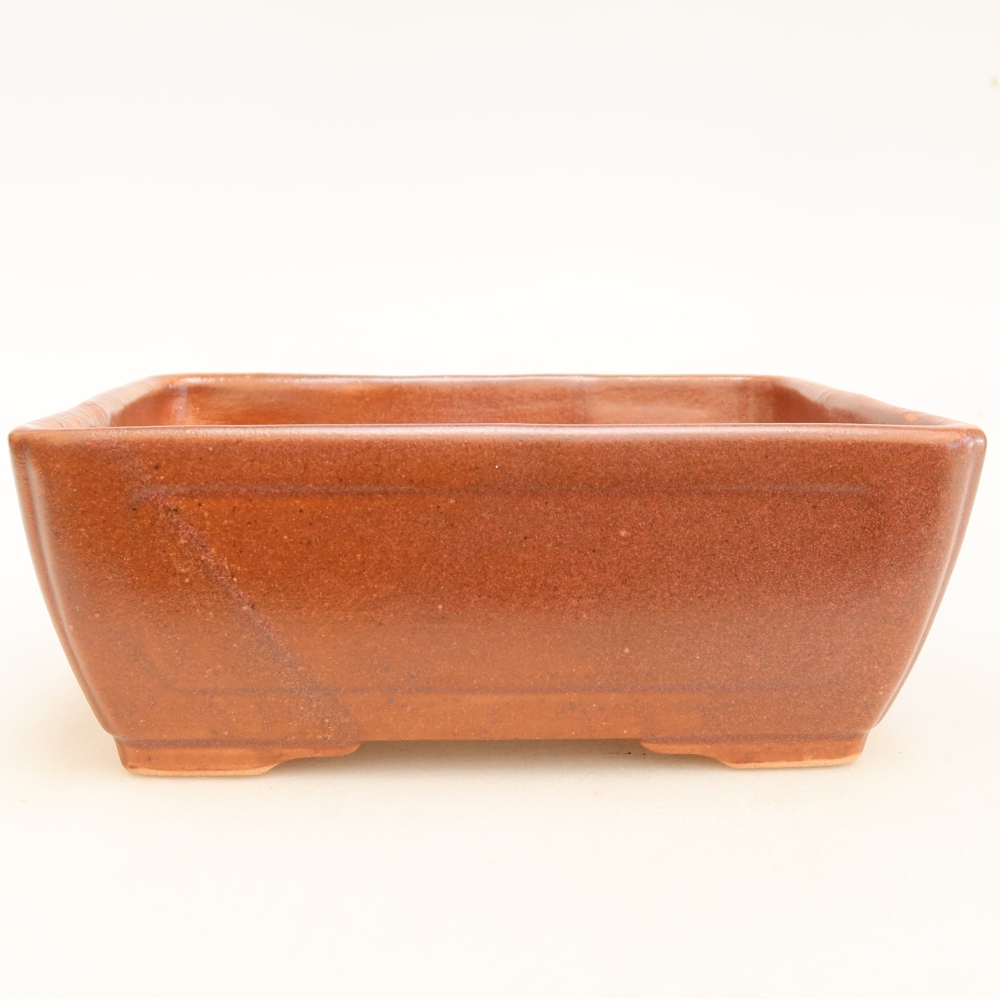 Bonsaischale aus Keramik 16 x 12 x 6 cm, bordeauxrot