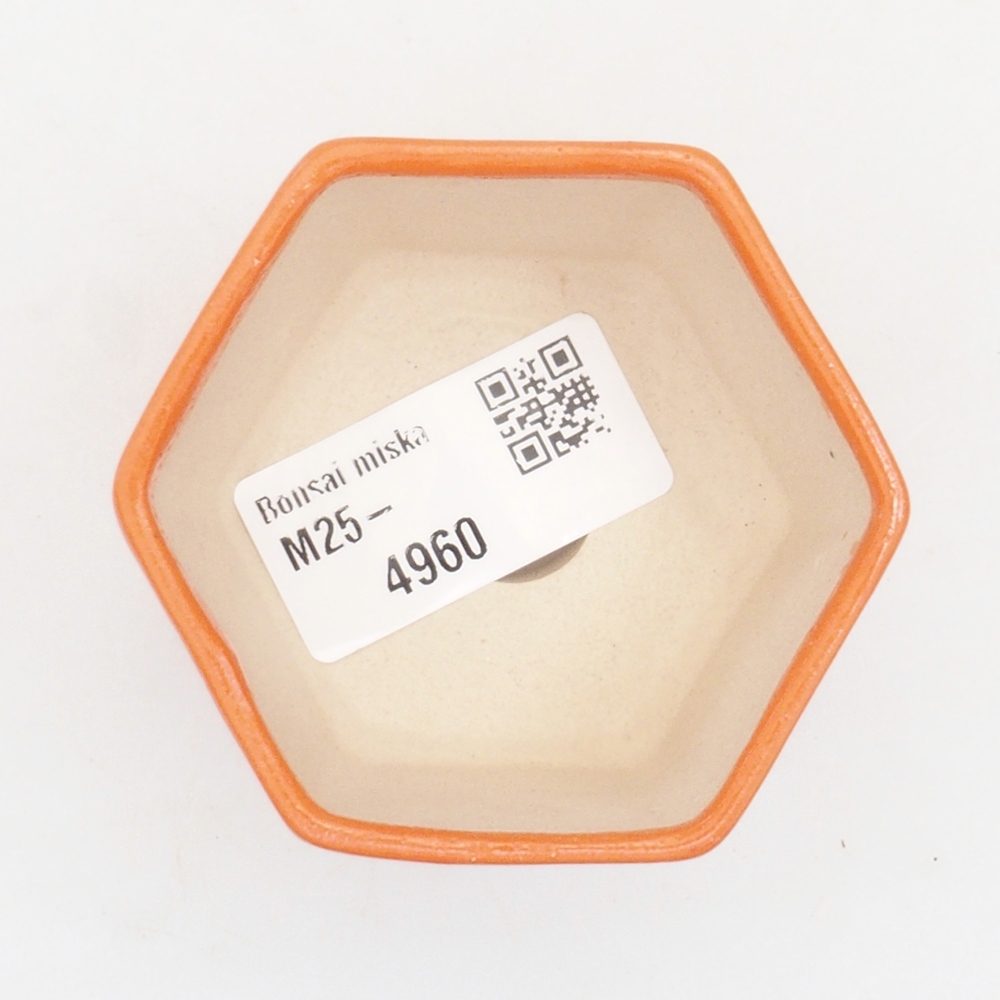 Mini-Bonsaischale 6,5 x 6 x 4,5 cm, orange