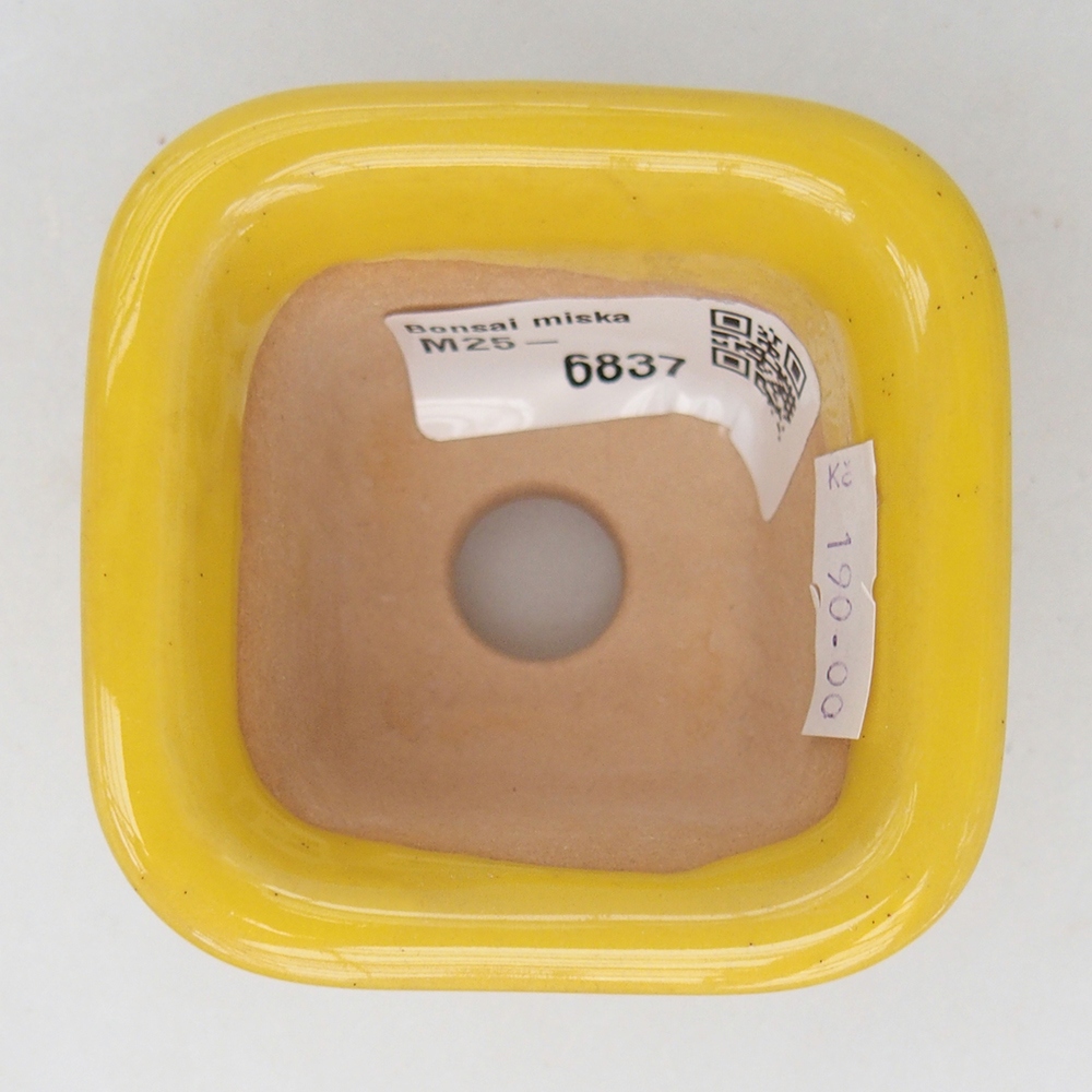 Bonsaischale aus Keramik 6,5 x 6,5 x 5 cm, gelb